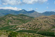 Виноградники в Крымских горах