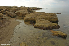 Прибрежные камни